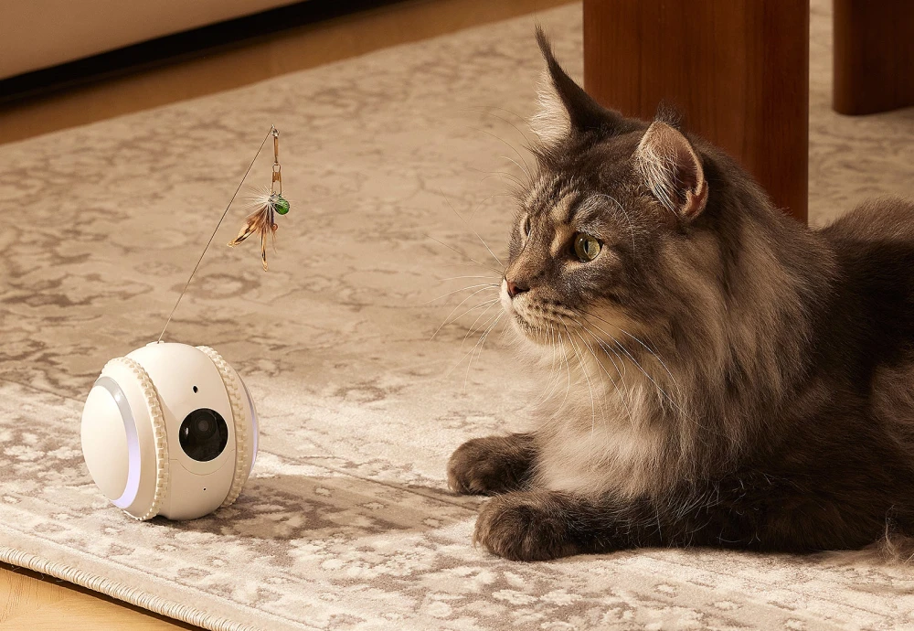 good pet cameras